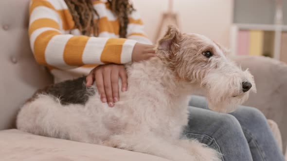 Cute Dog with School-aged Owner