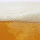 Fresh Beer Bubbling in Glass - VideoHive Item for Sale
