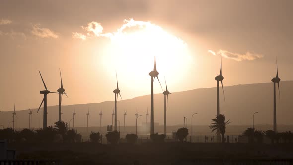 Wind Turbines at Sunset in Canary Islands