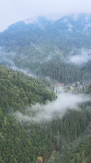 Vertical Video of Fog in the Mountains