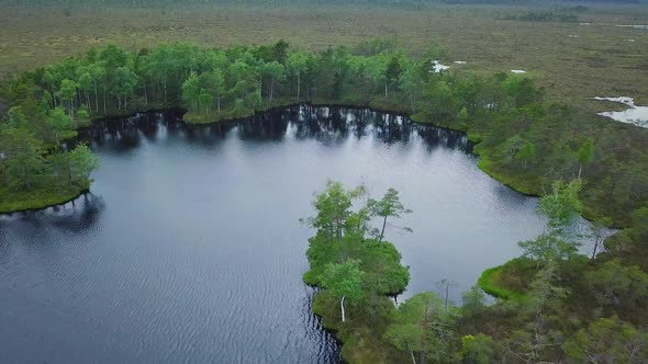 Beautiful aerial view of bog landscape with lakes on a sunny summer day, Dunika peat bog (Rucava, La