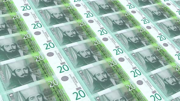 Serbia Money / 20 Serbian Dinar 4K