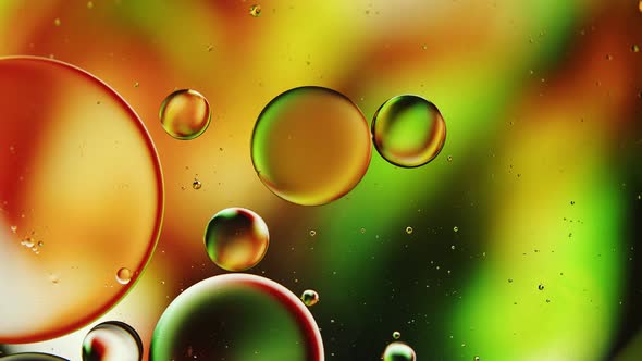 Abstract Colorful Food Oil Drops Bubbles 07