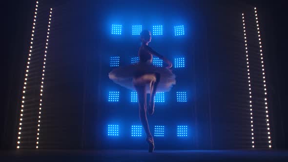 Pretty Ballet Dancer Gracefully Dancing. Ballet Rehearsal Before the Performance. Ballerina Does