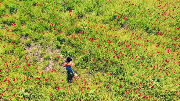 Top View Girl Alone Walk In Poppy Field