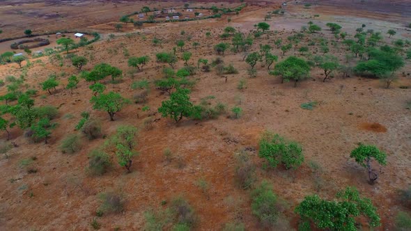 aerial view of the farms in Arusha town