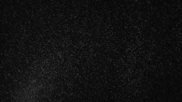 Snowstorm On Black alt