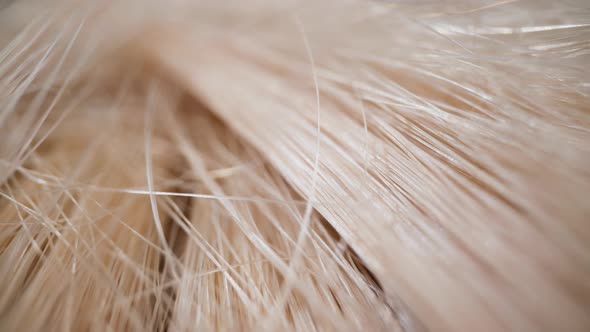 Artificial Blonde Hair Wig with Long Locks Zoom in Macro