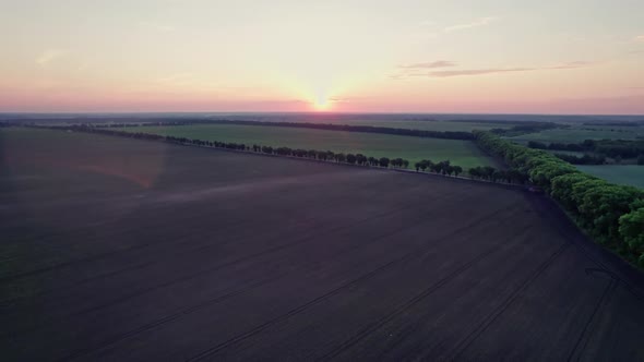 Beautiful Sunset Sky Over a Green Meadows