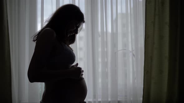 Silhouette Of Pregnancy Woman Stroking And Caressing Her Tummy Against A Window