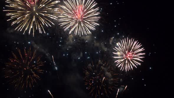 Colorful Firework display at night on sky background