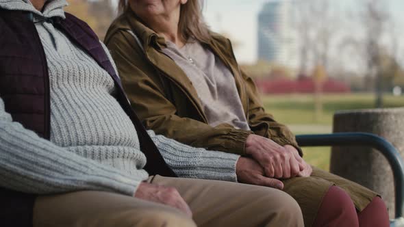 Caucasian senior couple sitting at the bench at park and holding hands. Shot with RED helium camera