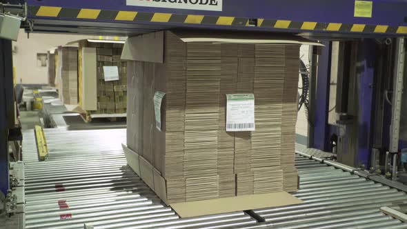 A Working Conveyor in a Paper Mill, Technology, Factory, Kyiv, Ukraine