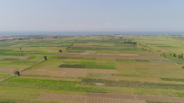 Agricultural Land in Indonesia