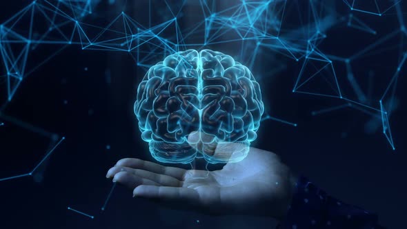 Blue Hologram Humans Brain Structure Rotating In Woman Hands
