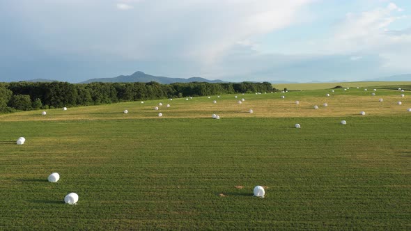 Aerial View On Farm Fields With Baled Hay 6