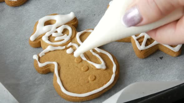 Christmas Holiday Gingerbread Cookie