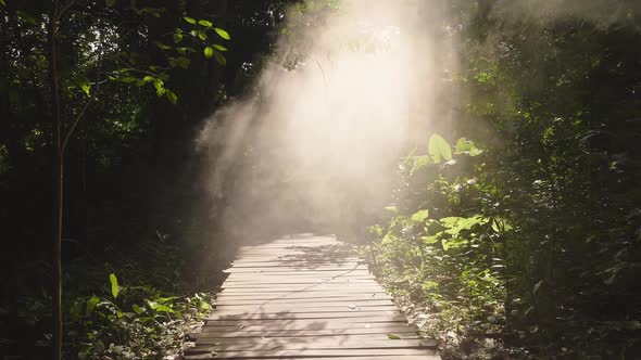 Wooden Path With Beams Of Light In The Morning Forest