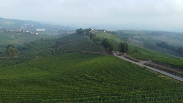 Langhe Vineyards Aerial View, Piedmont Italy