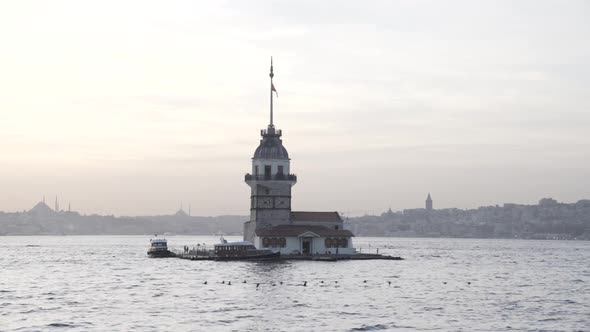 Birds passing in front of Maiden's Tower one evening
