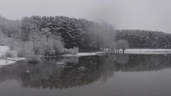 Overcast and Snowing Day by Lake Drone Push in Landscape of Trees and Shoreline