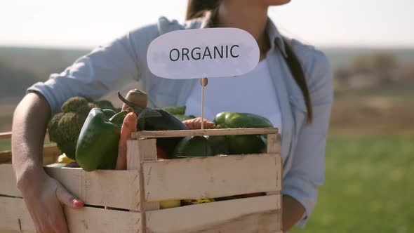 Girl Holding Box Of Vegetables.