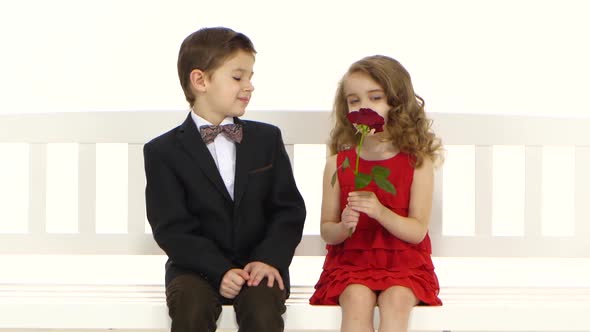 Little Boy Gives a Rose To His Girlfriend and Kisses Her on the Cheek. White Background