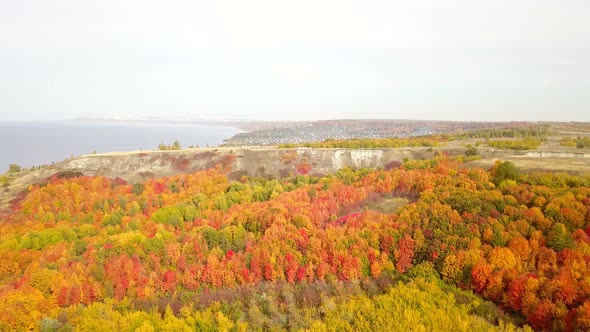 Autumn Nature