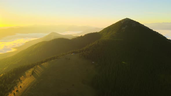 Aerial View of Foggy Evening Over High Peak with Dark Pine Forest Trees at Bright Sunset