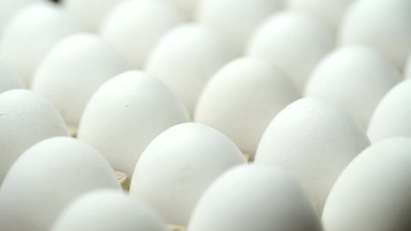 Chicken Eggs in a Cardboard Box