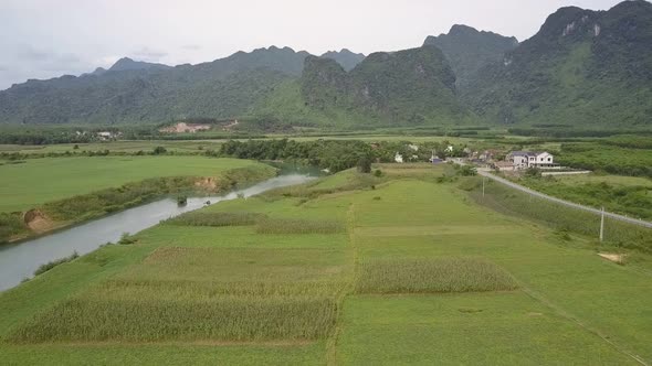 Aerial View Green Peanut Fields Near Buildings and River