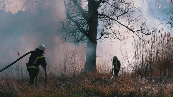 Two Firefighters in Equipment Extinguish Forest Fire with Fire Hose. Slow Motion