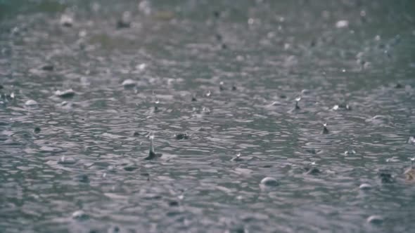 Large Drops of Rain Fall in a Puddle During a Rainstorm. Water Drops in Slow Motion.