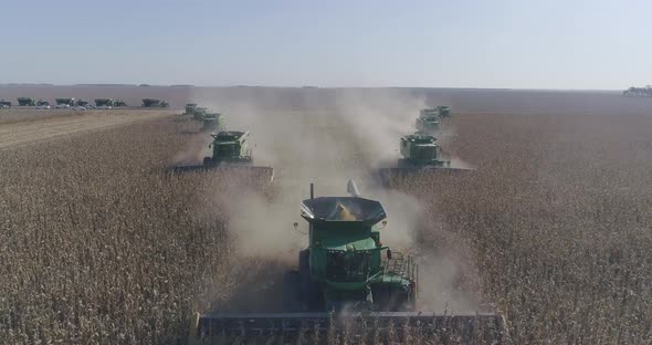 Aerial view of Combine Harvesters collecting seeds from fields with sunset background. Agriculture a