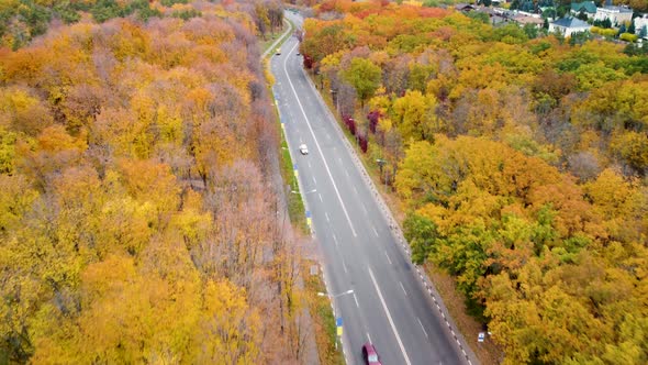 Aerial cars driving road in yellow autumn forest