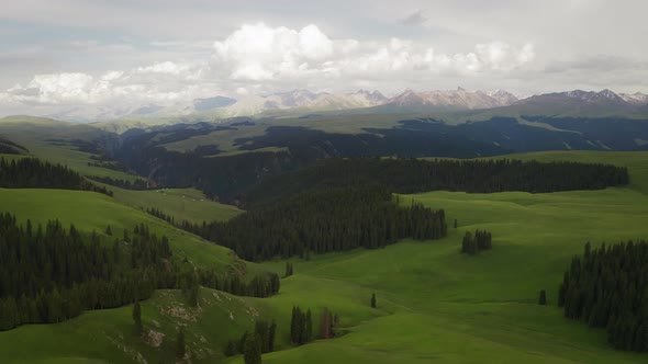 Mountain peaks and grassland