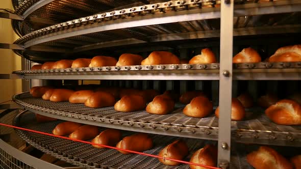 Collection Point at the Factory for the Production of Bread