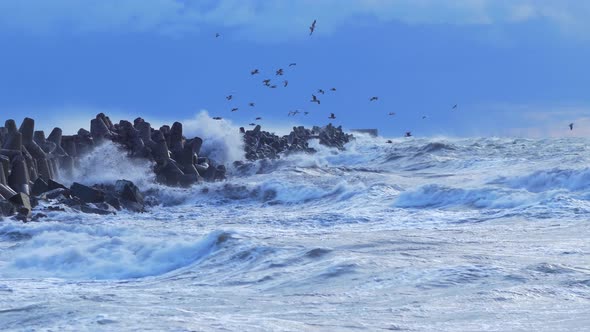 Big stormy waves breaking against Northern Pier wave breakers at Liepaja, overcast evening, seagulls