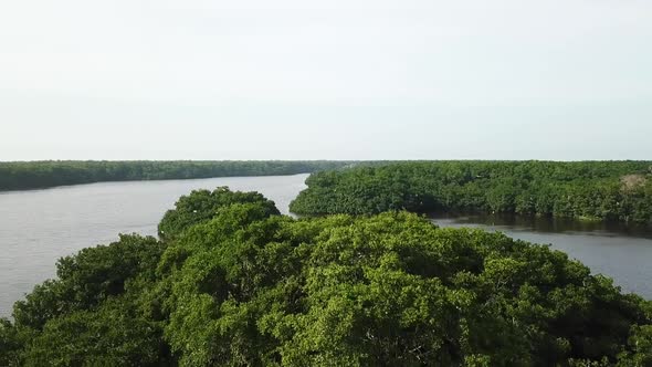 Aerial shot flying over a tropical snaking river and forest in the Rosario Islands