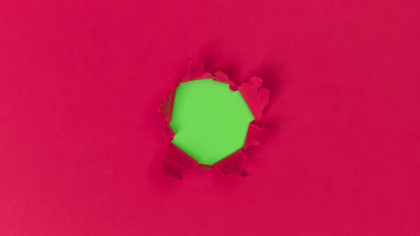 Unwrapping gift revealing a green screen - Stop Motion Animation - Green bow on a red background