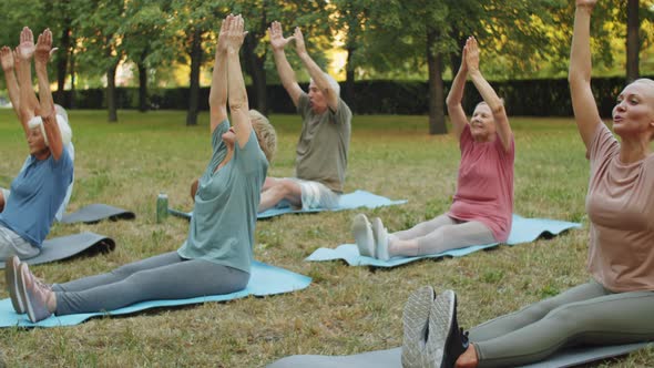 Elderly People Stretching in Park at Outdoor Yoga Class