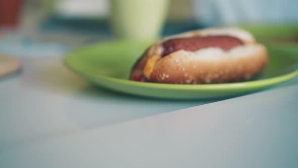 Schoolkid Takes Hotdog From Color Plate on Table Closeup