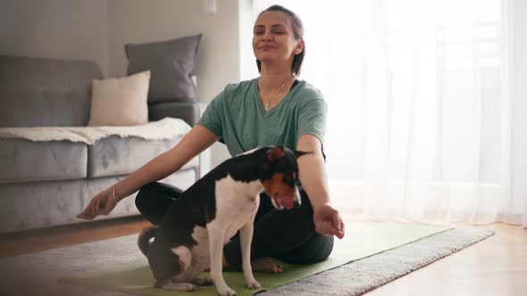 Beautiful Young Adult Woman Doing Yoga with Her Cute Basenji Dog