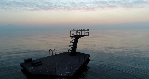 Aerial shot of seagulls taking off from Springboard at sunsetLake Léman, Lutry - Switzerland