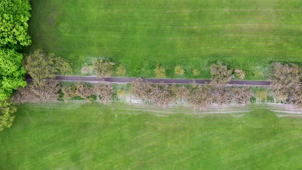 Aerial drone view footage of the beautiful blossom trees in the spring time