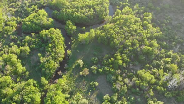 Wild River Aerial Drone Shot