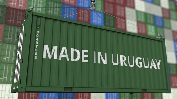 Loading Container with MADE IN URUGUAY Text