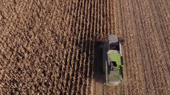 harvester harvests in autumn in a field in Ukraine