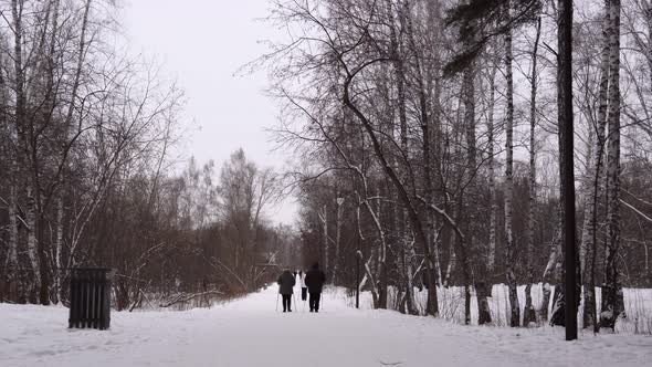 Winter Park People Walking Nordic Walking