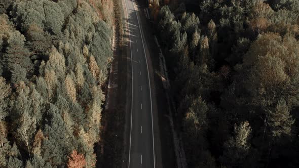 Asphalt road with traffic cars between forest in Ural